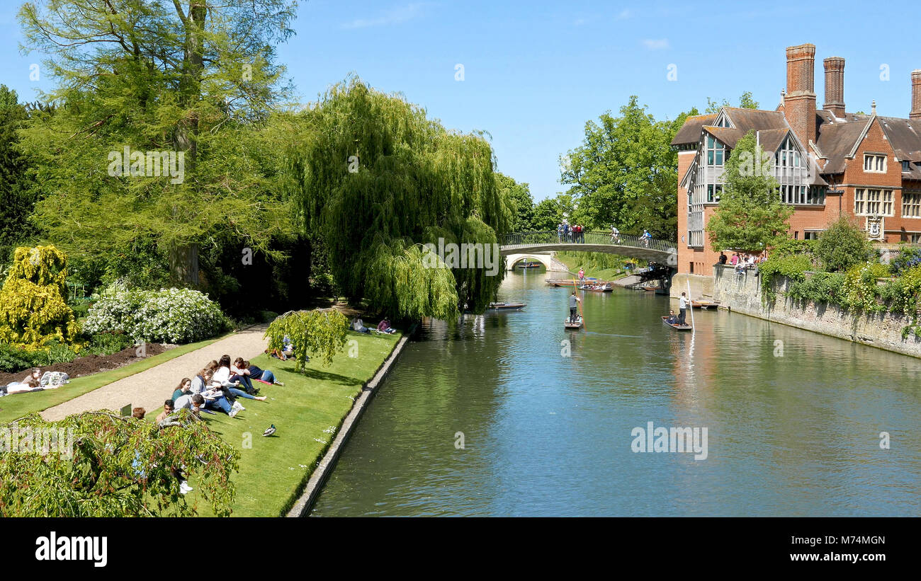 Punting auf dem Fluss Cam durch Cambridge College Gärten Vergangenheit Trinity Hall und Brücke für Radfahrer Stockfoto