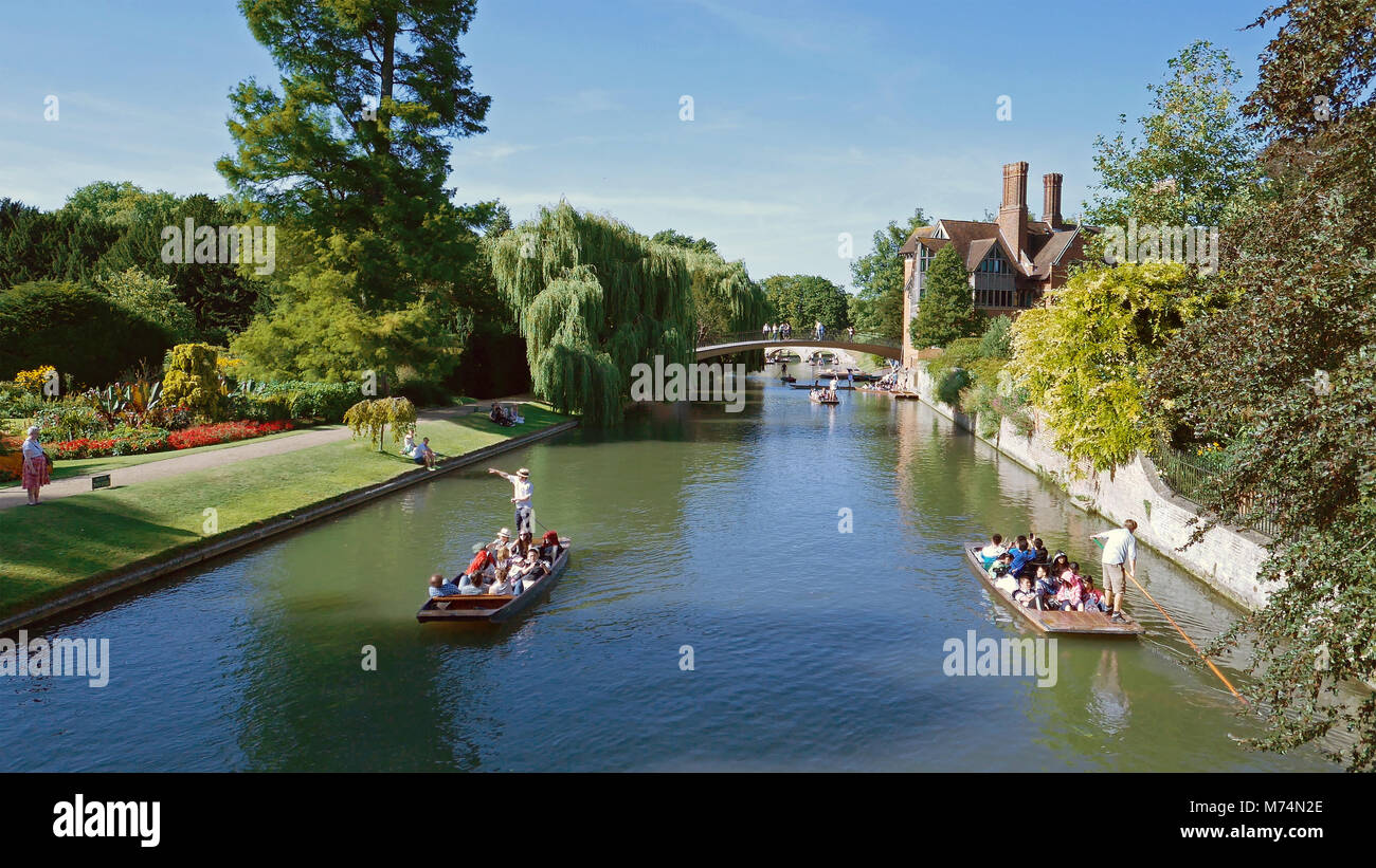 Punting auf dem Fluss kann durch Cambridge College Gärten, Sommer Stockfoto