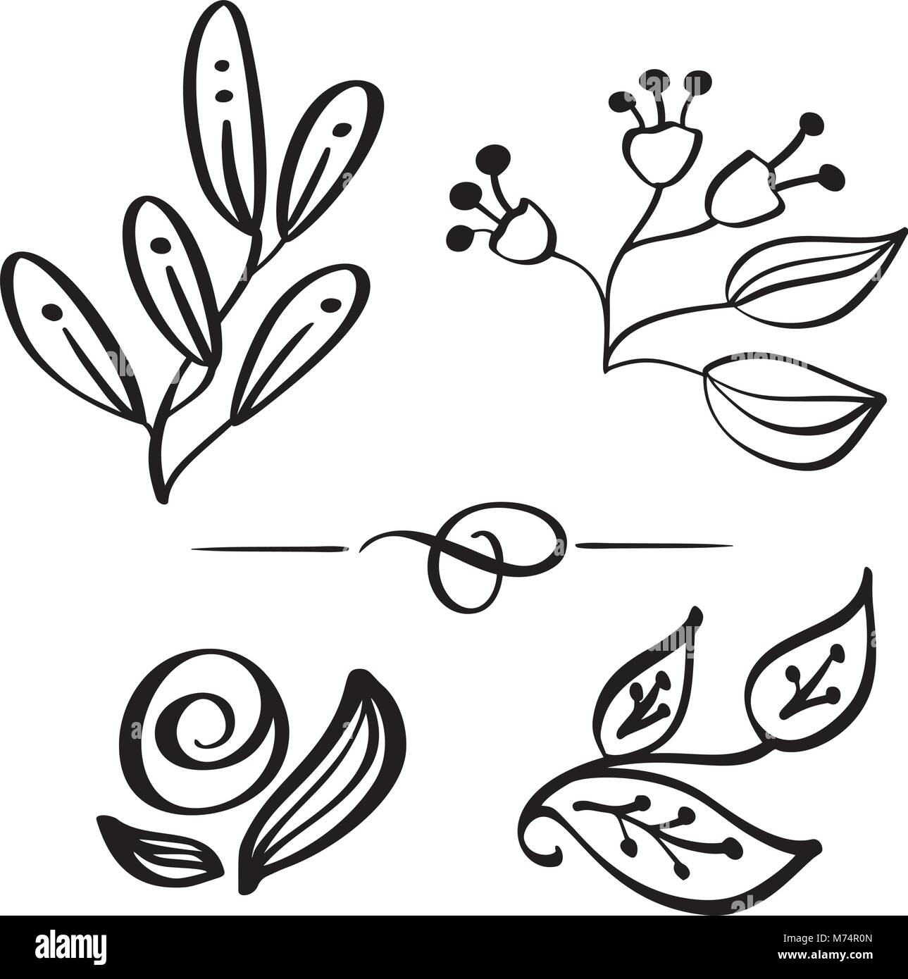 Set Hand wilde Blumen Zweig vektor Zeichnung und Skizze mit Linie gezeichnet - Kunst auf weißem Hintergrund, für Botanical logo Stock Vektor