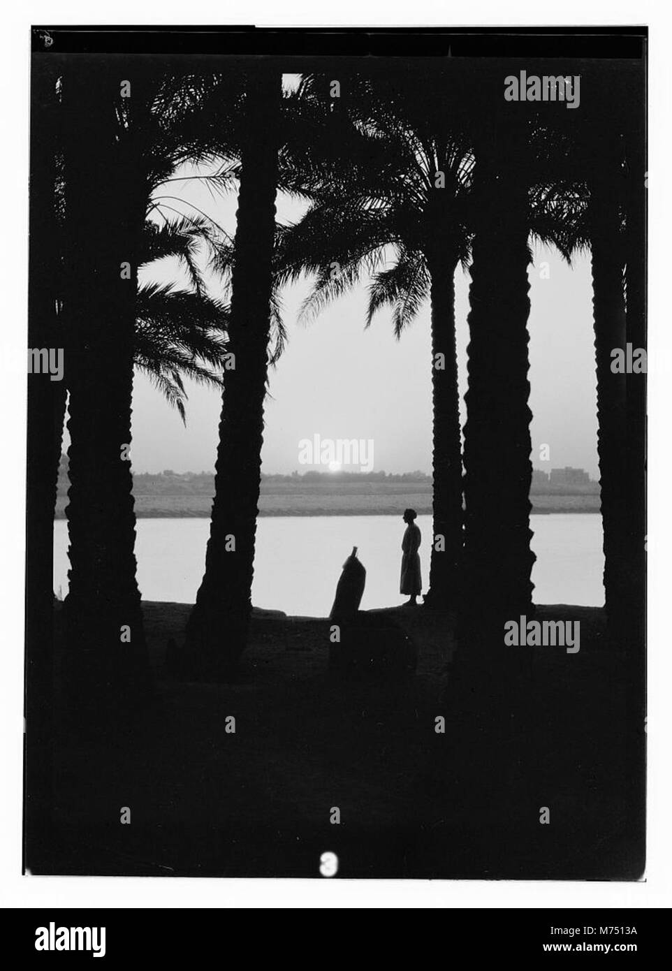 Eine ruhige Flussszene am Euphrates in der Nähe von Hilla, Irak, mit einem Sonnenaufgang durch einen Palmenhain, der die natürliche Schönheit der Region unterstreicht. Stockfoto