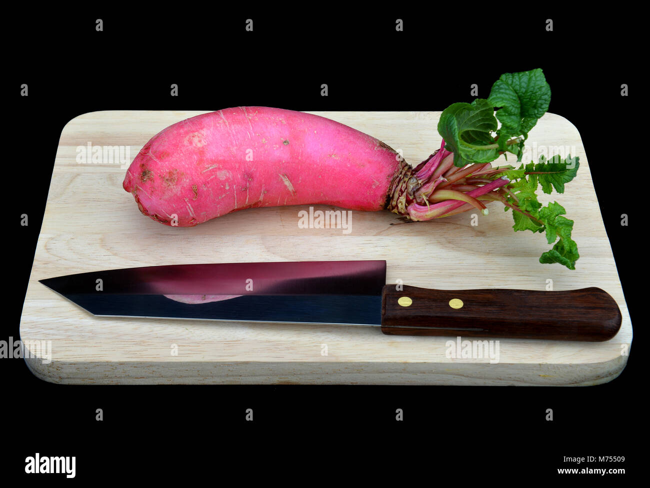 Die frischen rosa Rettich für das Kochen im Studio in schwarzen Hintergrund Stockfoto