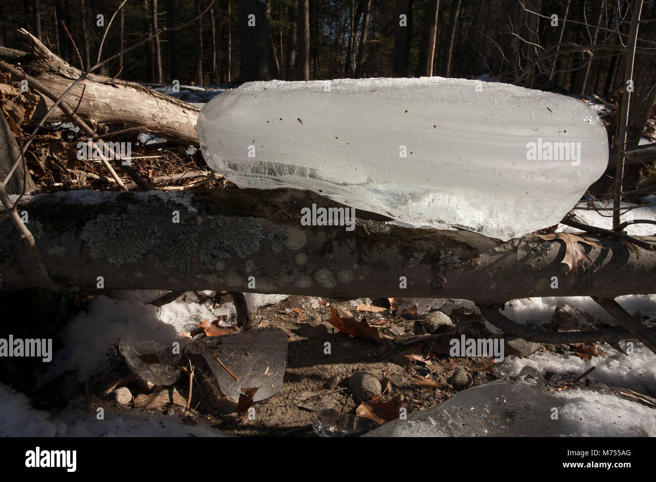 Winter Überschwemmungen der Mill River in Northampton, MA hat zerstreut Eisbrocken entlang der Küste. Stockfoto