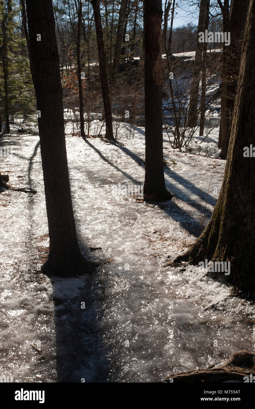 Winter Überschwemmungen der Mill River in Northampton, MA hat zerstreut Eisbrocken entlang der Küste. Stockfoto