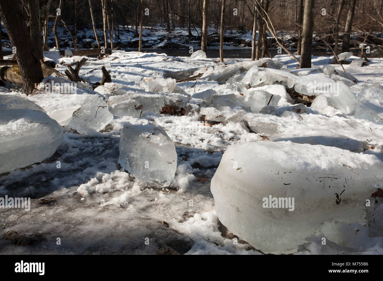 Winter Überschwemmungen der Mill River in Northampton, MA hat zerstreut Eisbrocken entlang der Küste. Stockfoto