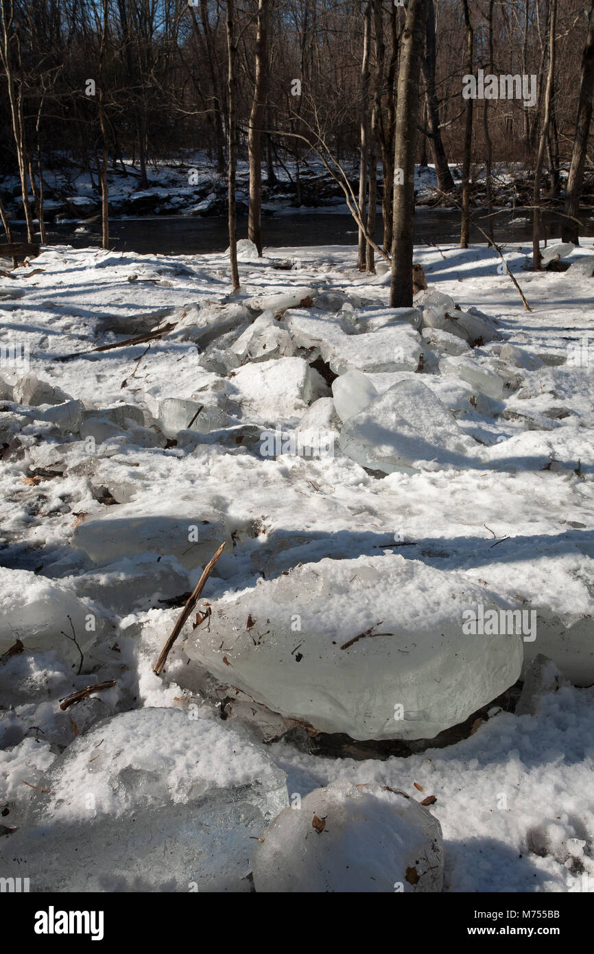 Winter Überschwemmungen der Mill River in Northampton, MA hat zerstreut Eisbrocken entlang der Küste. Stockfoto