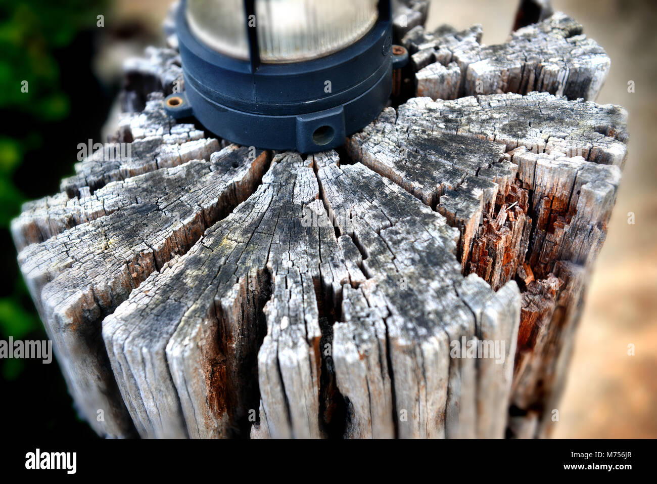 Sehr alter Baumstumpf Holz post Stockfoto