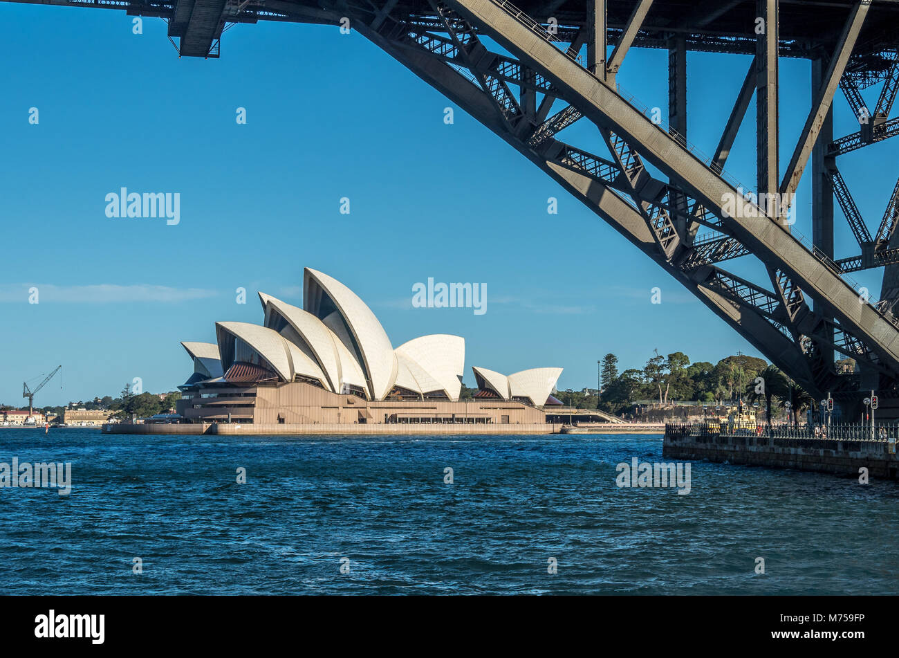 Sydney Opera House unter der Harbour Bridge Stockfoto