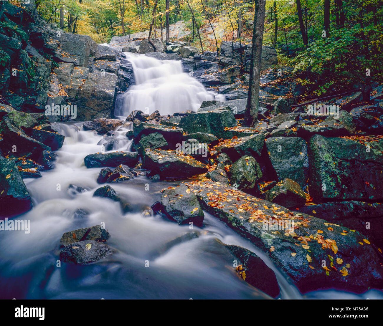 Elektrische Bach fällt, schooleys's Mountain Park, Morris County, New Jerssey Stockfoto