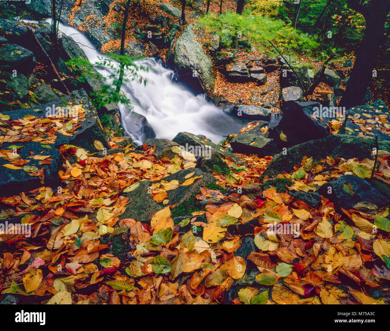 Elektrische Bach fällt, schooleys's Mountain Park, Morris County, New Jerssey Stockfoto