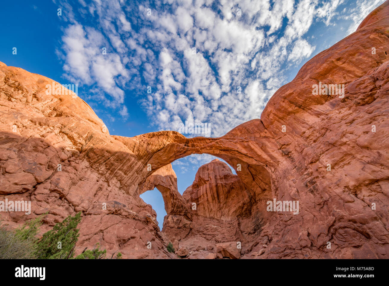 Double Arch und morgen Wolken, Arches National Park, Utah Abschnitt Windows Stockfoto