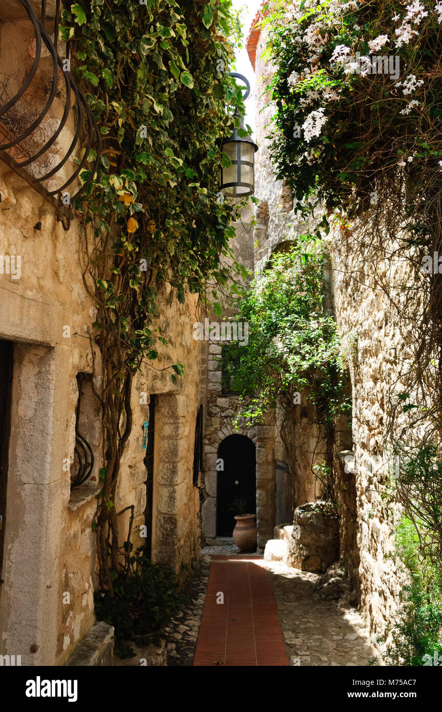 Schmalen alten Straßen von Eze mit Terracotta Dächer, charmante Laternen und grünen Reben. Stockfoto