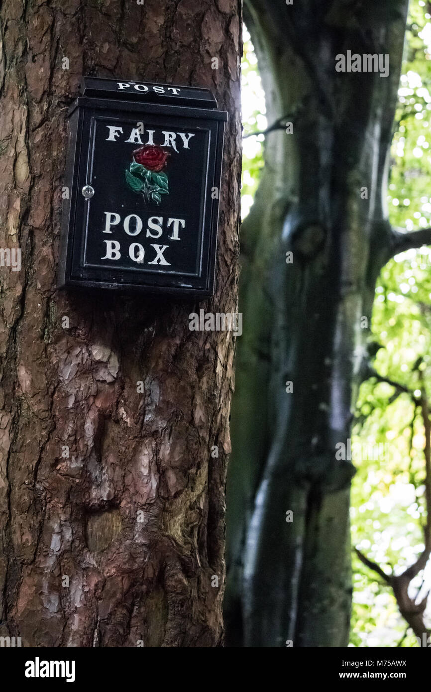 Ein Feenpostkasten auf einem Baum in einem Wald in Irland Stockfoto