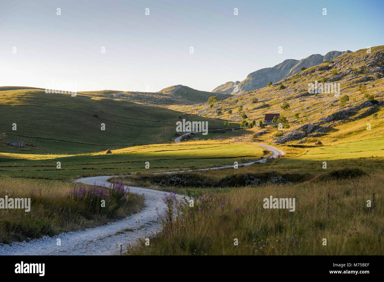 Unbefestigte Wicklung Spur, die zu abgelegenen Farm House und Hügel im Biogradska gora nationalni Park Stockfoto