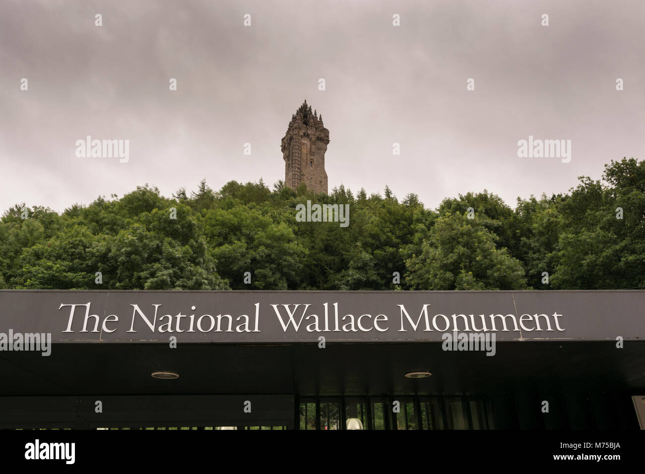 National Wallace Monument. 67 Meter (220 ft) Sandstein Turm, im viktorianischen Stil, im Jahr 1869 nach Entwürfen des Architekten John fertig gebaut Stockfoto