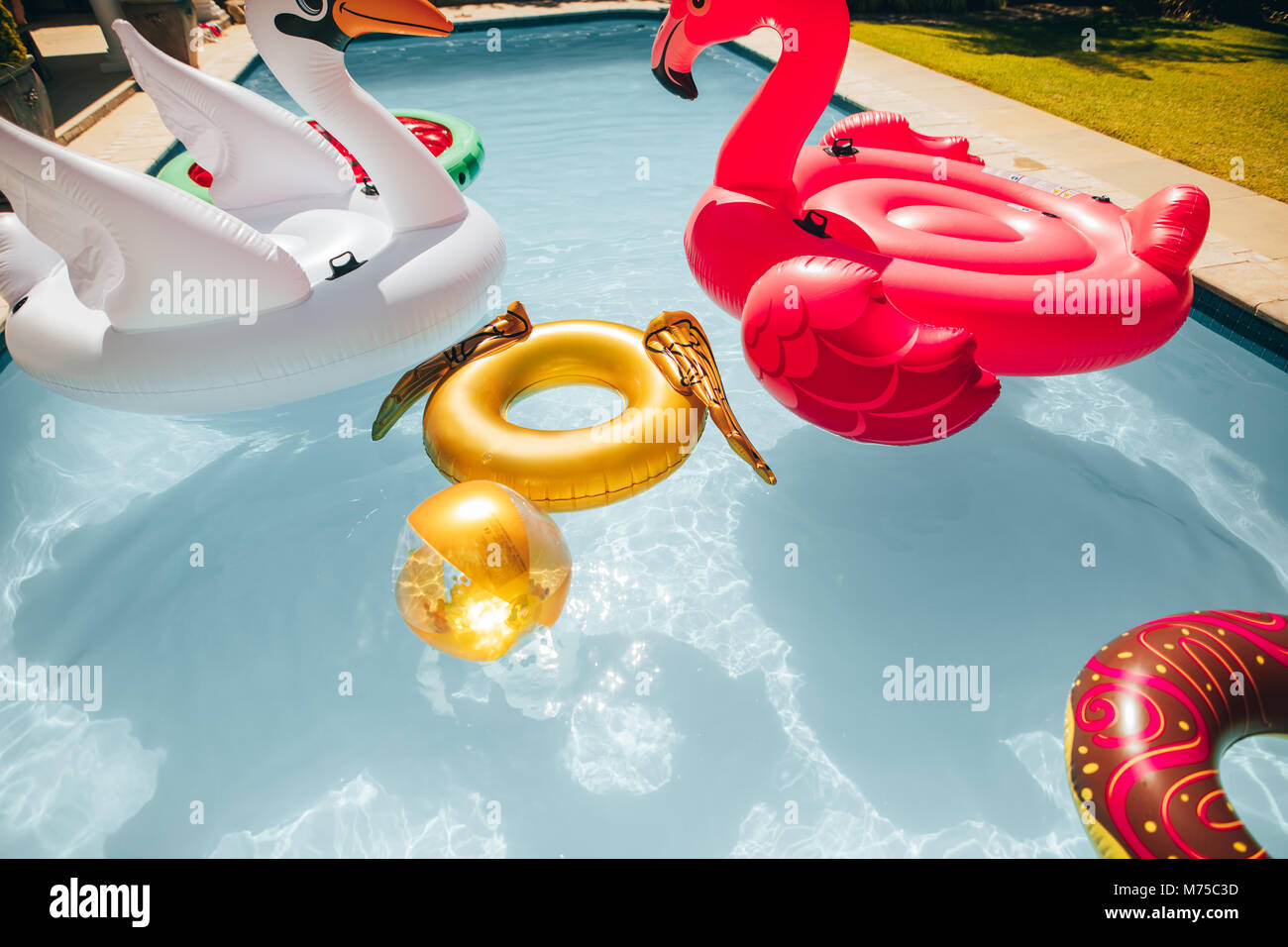 Gruppe von farbigen aufblasbare Spielzeuge Schwimmen im Schwimmbad im Sommer. Aufblasbare Swan, Flamingo, Ring und Kugel im Pool. Stockfoto