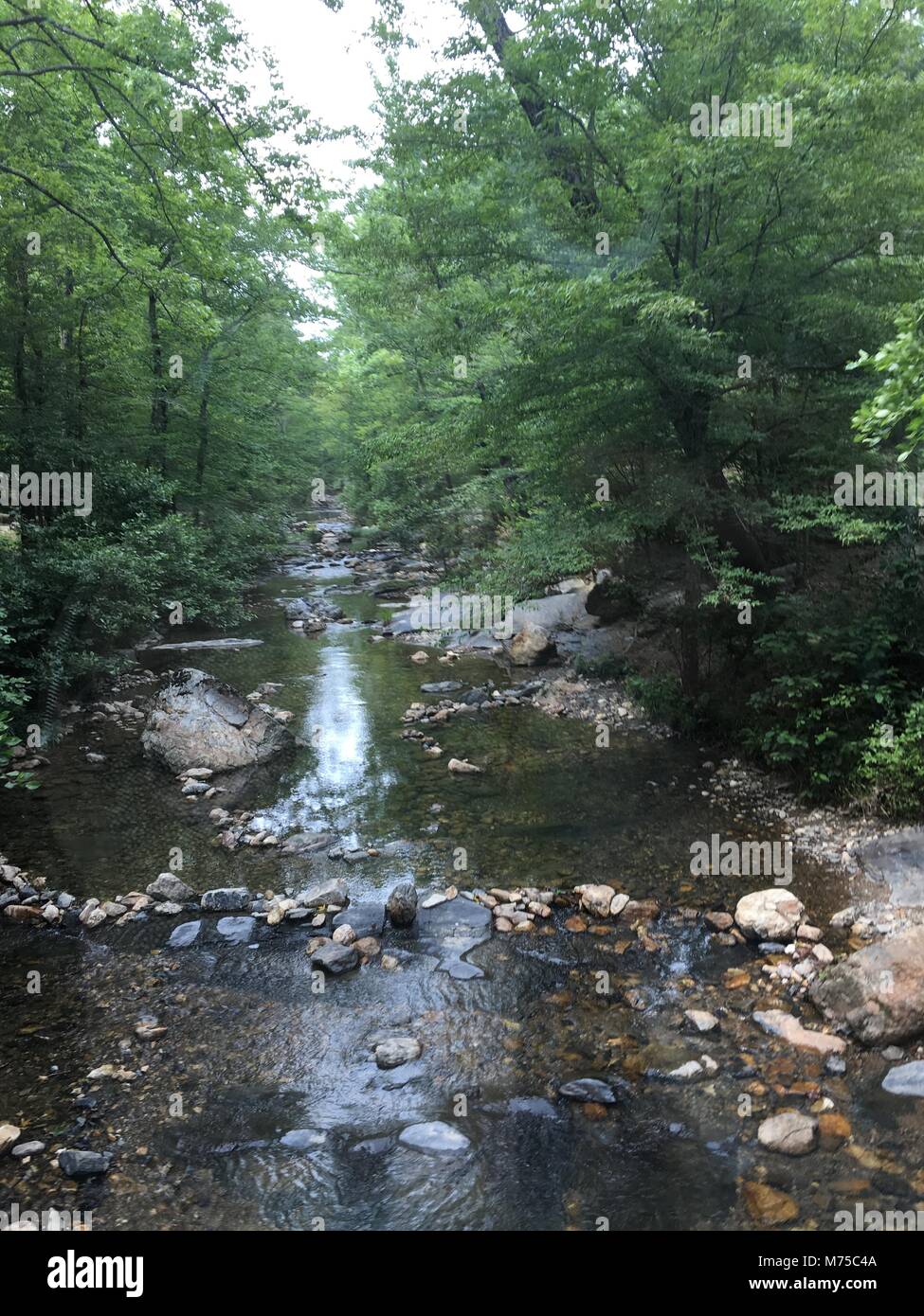 Ein Rocky Creek in den Bergen von Arkansas Stockfoto