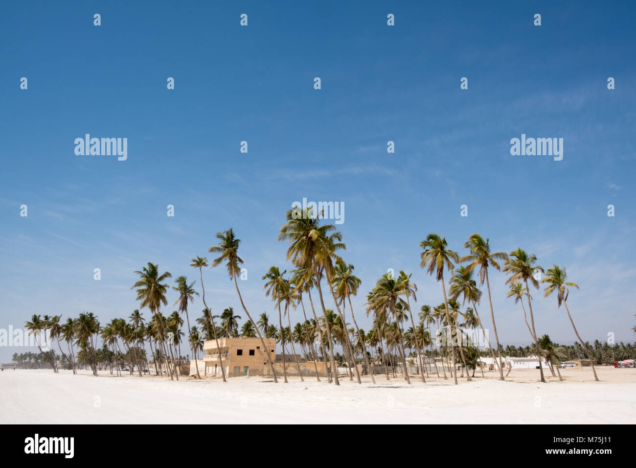 Salalah Beach, Dhofar - Sultanat Oman Stockfoto