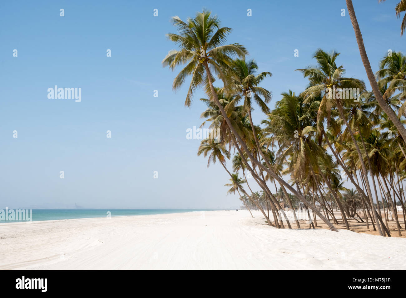 Salalah Beach, Dhofar - Sultanat Oman Stockfoto