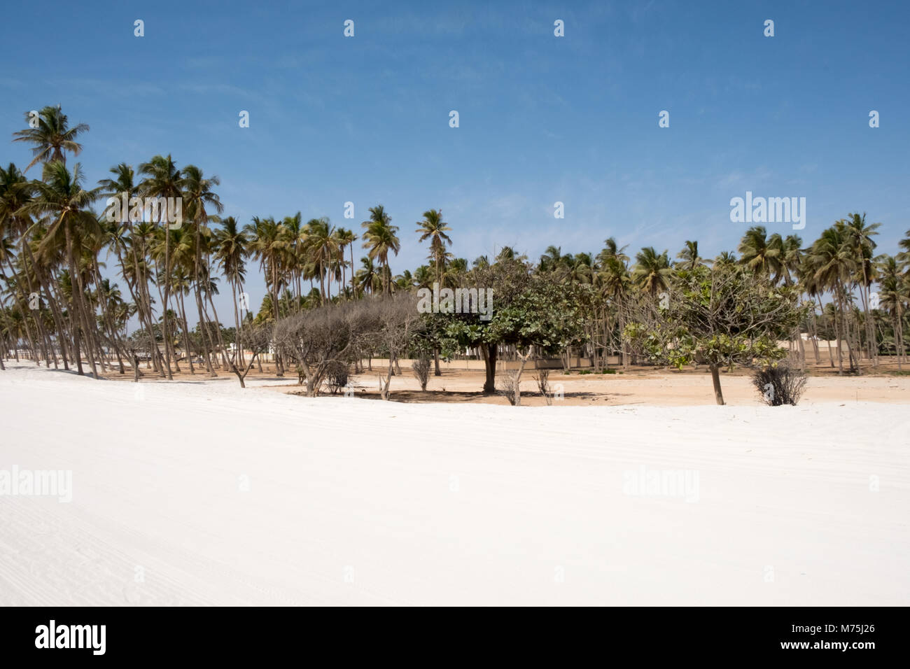 Salalah Beach, Dhofar - Sultanat Oman Stockfoto