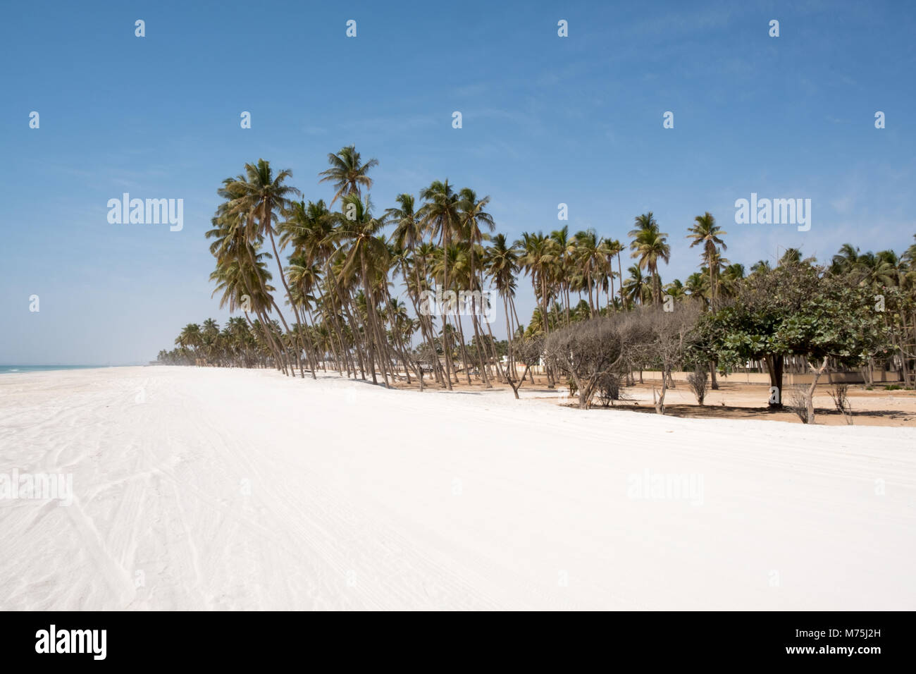 Salalah Beach, Dhofar - Sultanat Oman Stockfoto