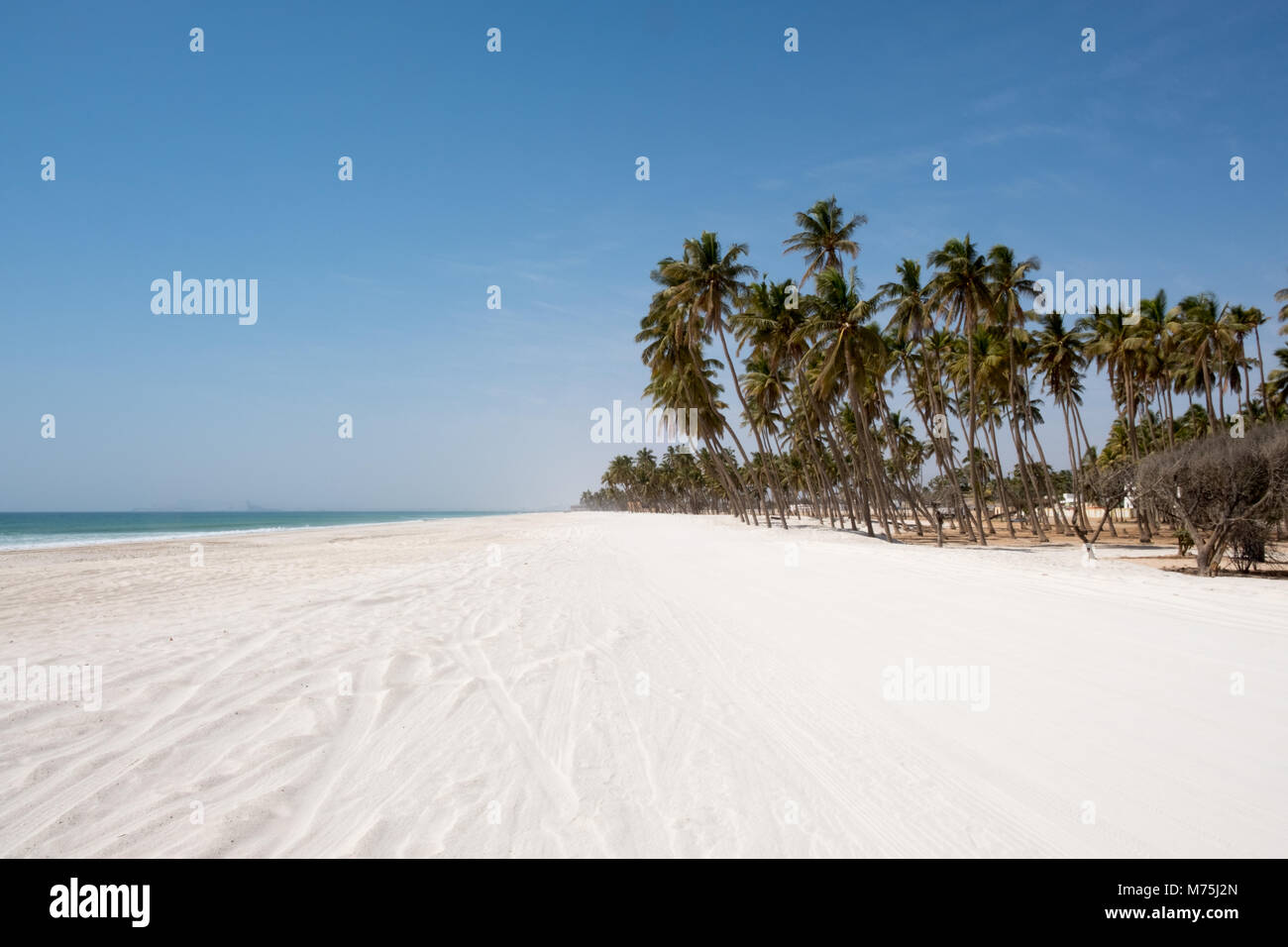 Salalah Beach, Dhofar - Sultanat Oman Stockfoto