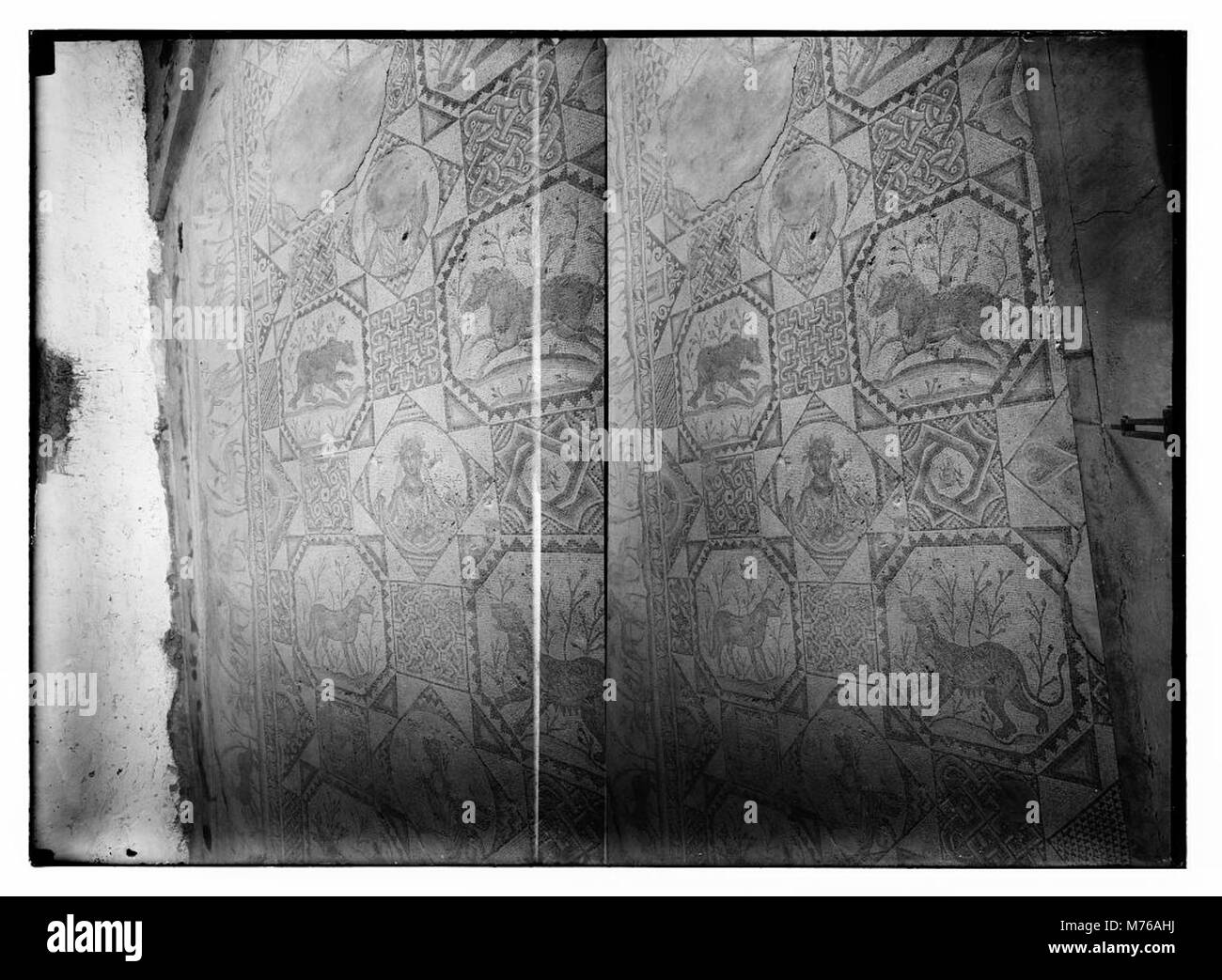 Ein Mosaik, das ein Mädchen mit Früchten aus Beit Jibrin zeigt, das alte Handwerkskunst zeigt. Das Stück bietet einen Einblick in die Kunst und Kultur der Region. Stockfoto