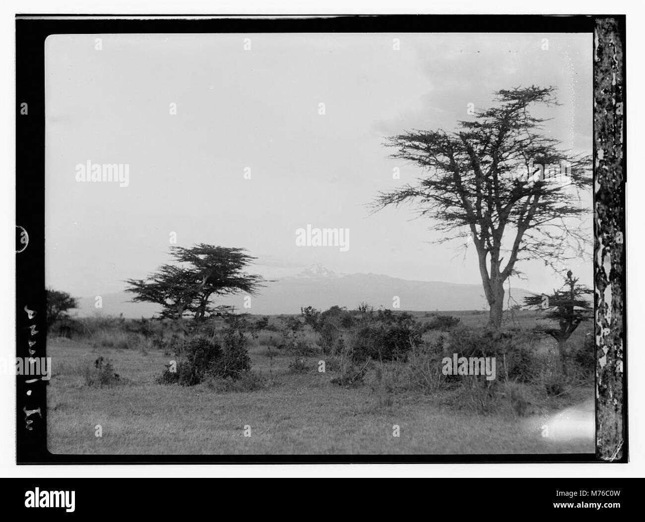 Der Mount Kenya liegt im Zentrum Kenias und ist der zweithöchste Berg Afrikas, der für seine einzigartigen Gletscher, Wälder und vielfältigen Ökosysteme bekannt ist. Stockfoto