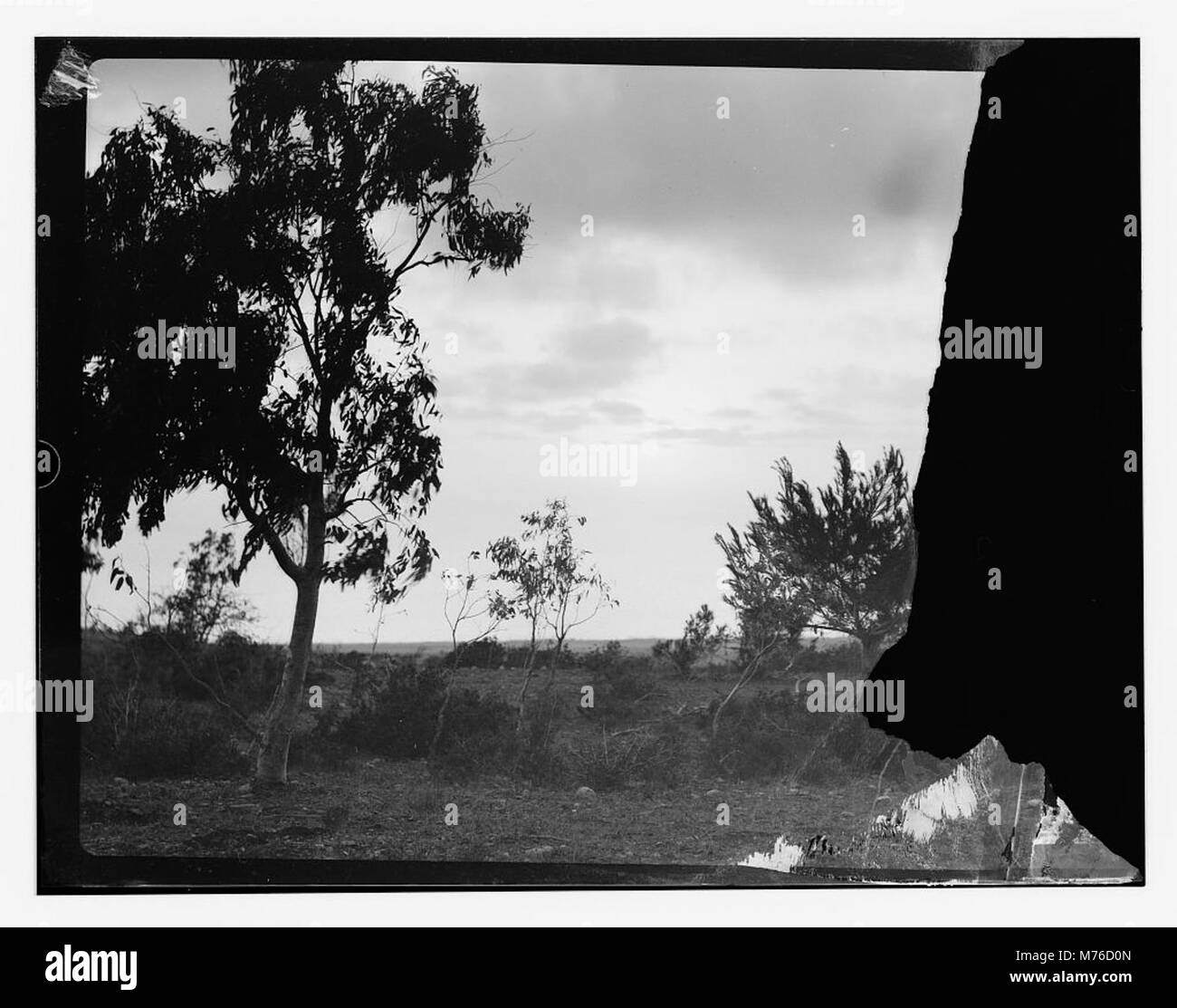 Ein Foto in der Nähe von Haifa, Israel, das die malerische Schönheit der umliegenden Region mit Schwerpunkt auf der natürlichen Landschaft und dem Blick auf die Küste zeigt. Stockfoto