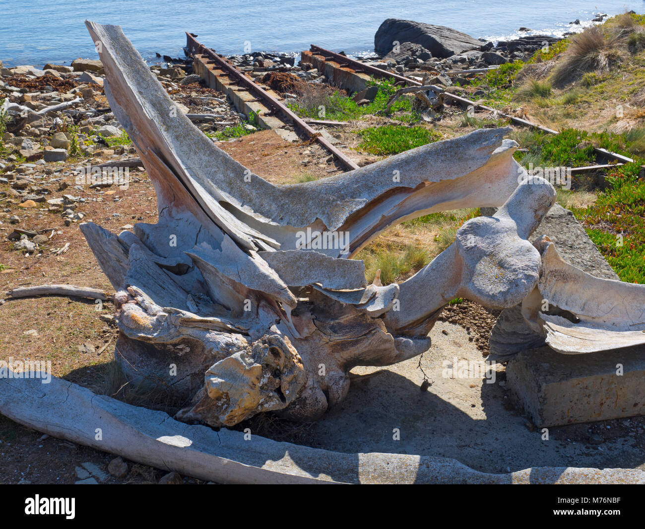 Bleibt der Walfangstation Maria Insel Tasmanien Stockfoto