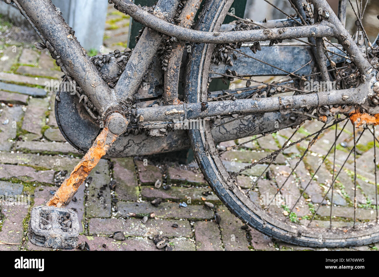 Nahaufnahme eines sehr dreckig und rostig Bike Stockfoto