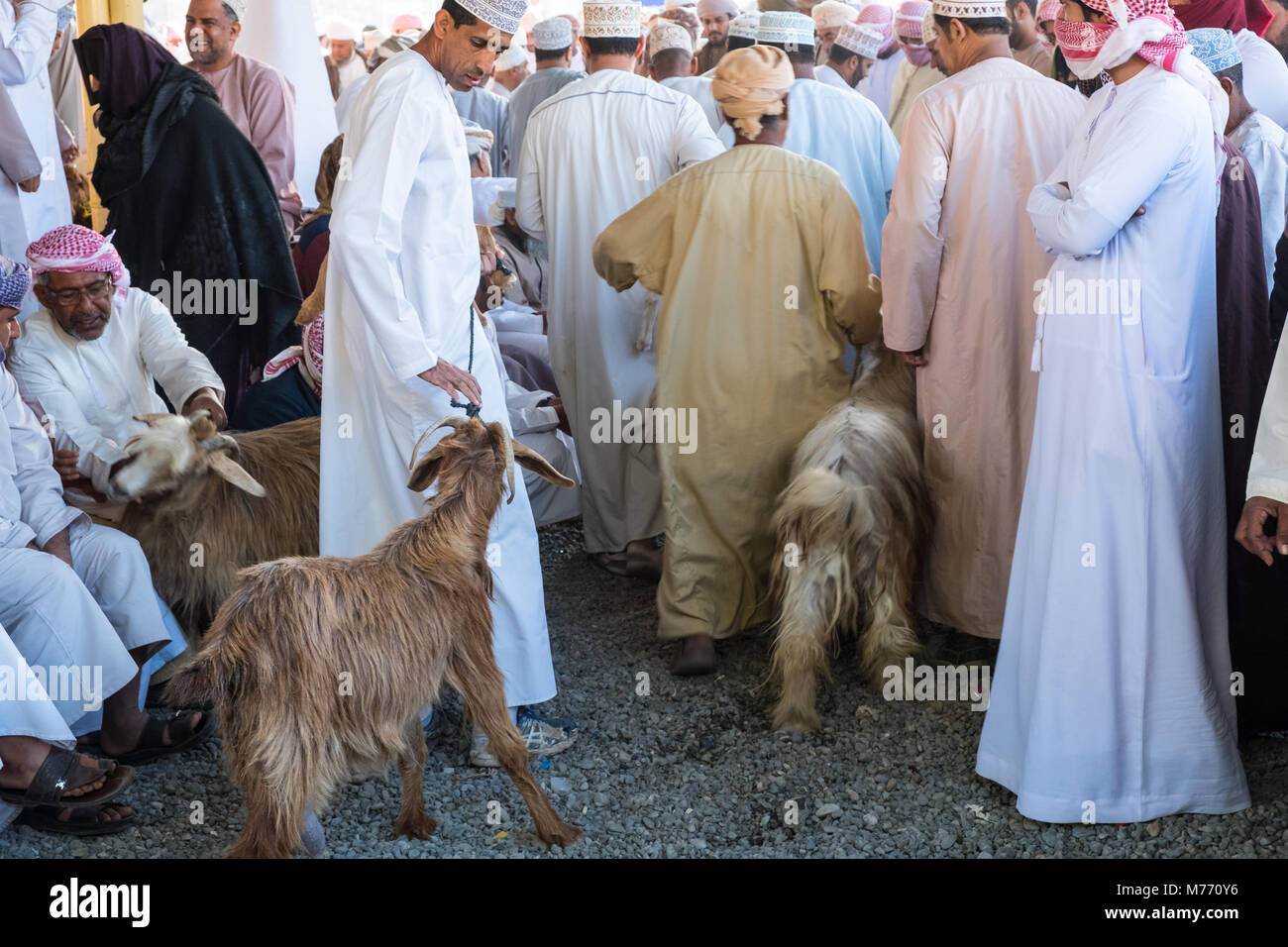 Szene auf der Nizwa Ziege Markt, Nizwa, Sultanat Oman Stockfoto