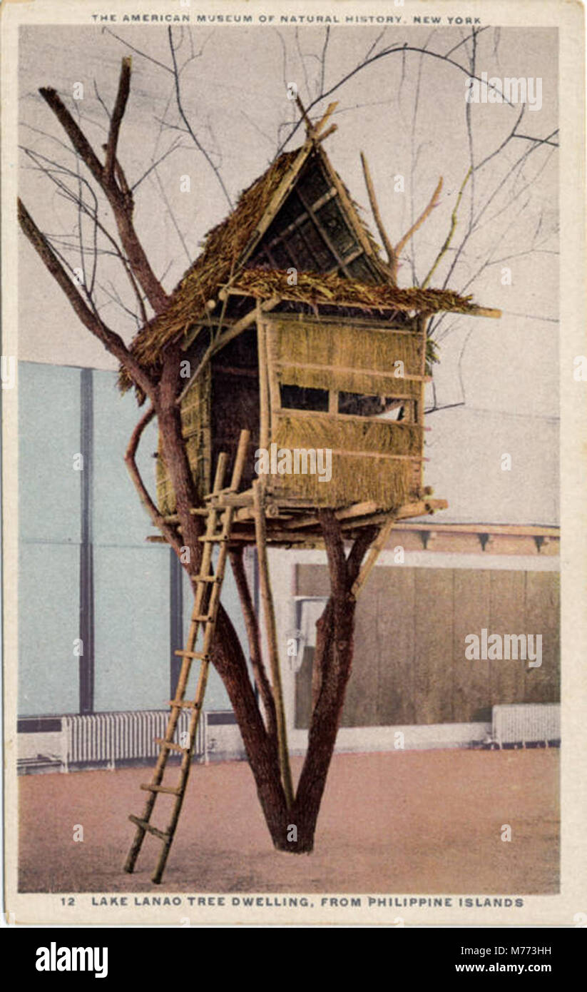 Das Amerikanische Museum der Naturgeschichte, 12, Lake Lanao Baum Wohnung, aus der Philippinischen Inseln (NBY) 24013 Stockfoto