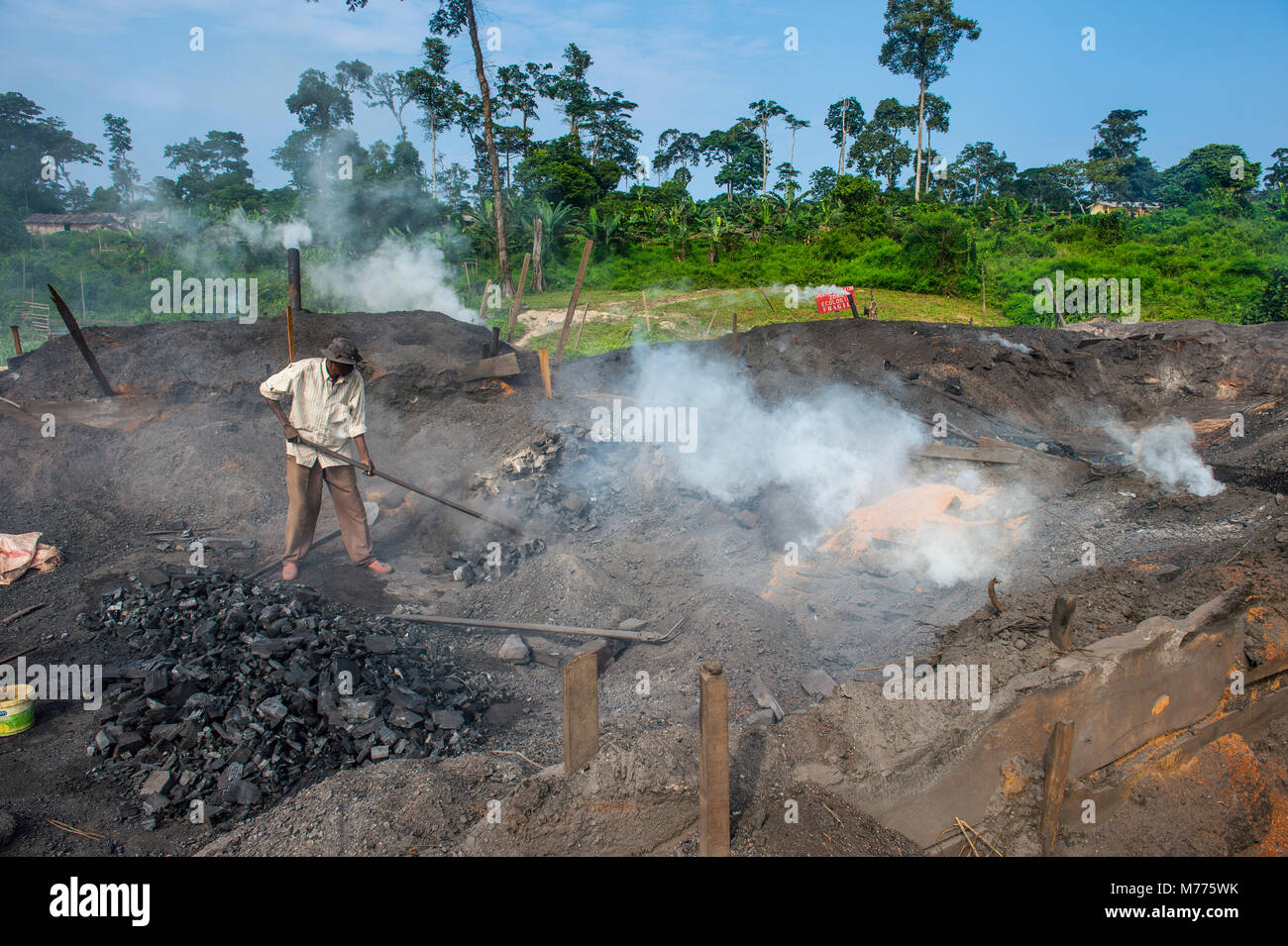 Die Kohleförderung aus Holz (Holzkohle), Libongo, tief im Dschungel, Kamerun, Afrika Stockfoto