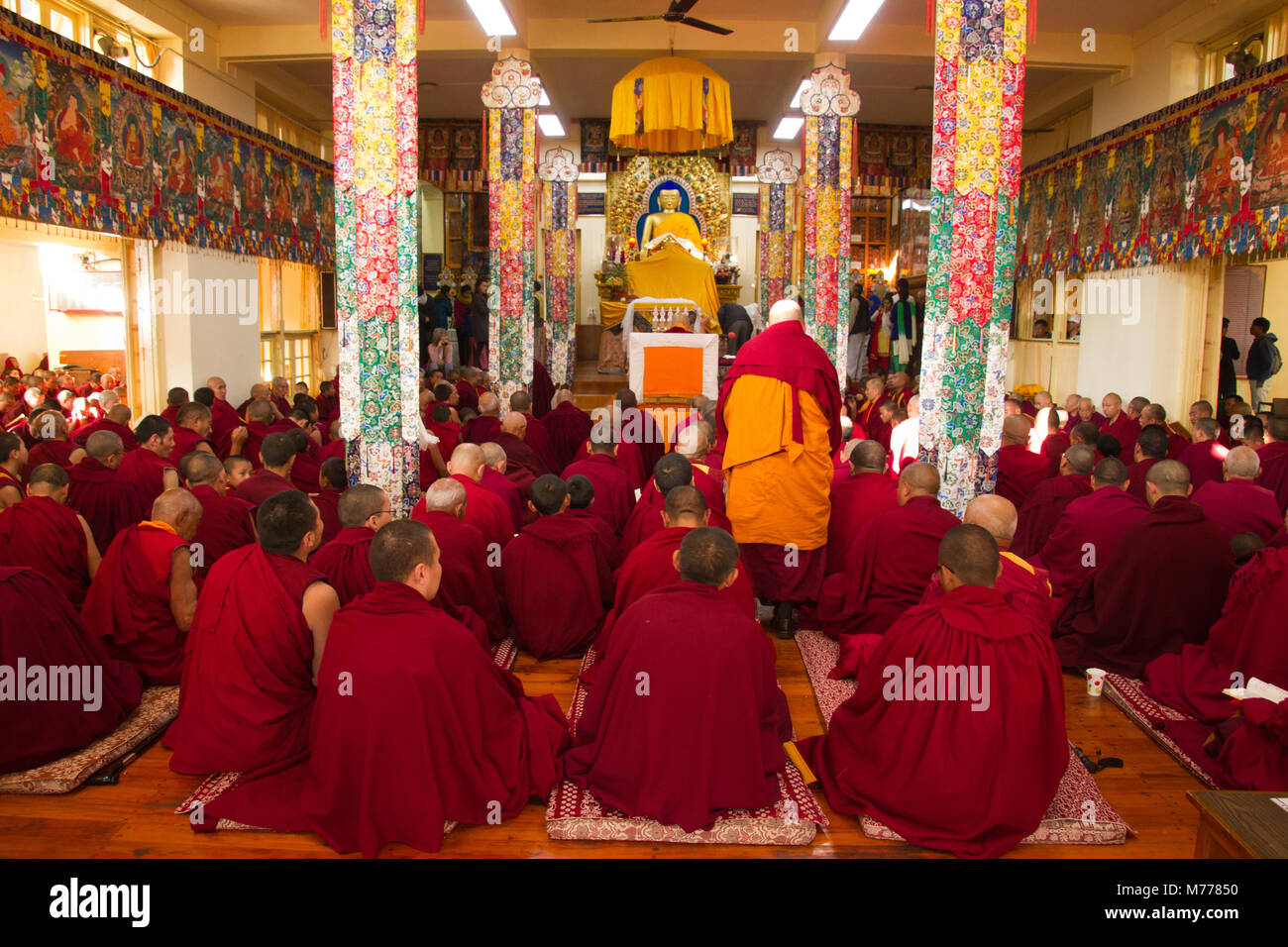 Tibetisch-buddhistische Mönche an Losar (tibetisches Neujahr) in den Dalai Lama Tempel, McLeod Ganj, Dharamsala, Himachal Pradesh, Indien, Asien Stockfoto