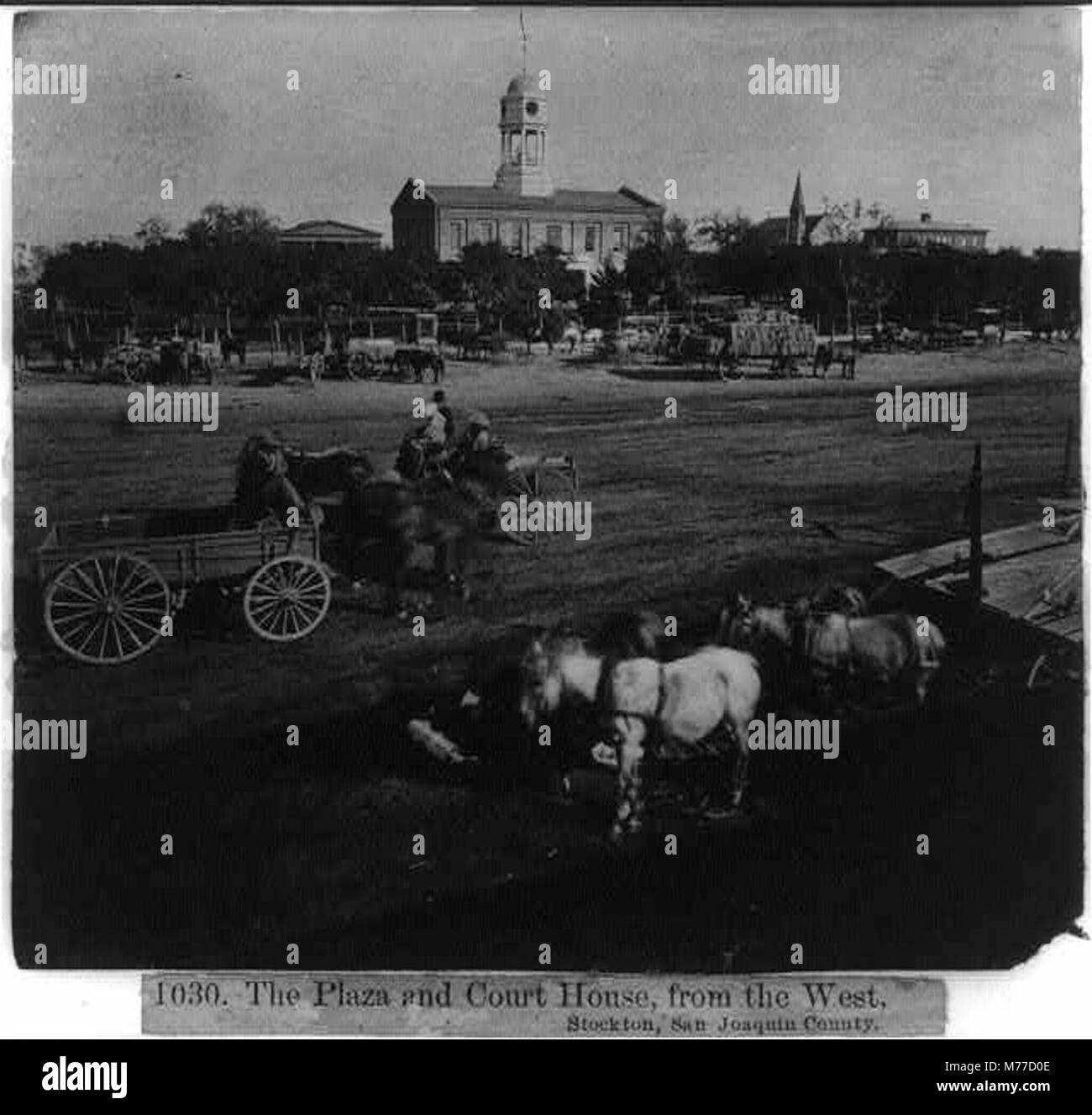 Wagenmannschaften parken vor dem Gericht in Stockton, San Joaquin County, mit Blick auf die Umgebung von Westen. Dieses Foto zeigt das Leben des frühen 20. Jahrhunderts in Kalifornien. Stockfoto