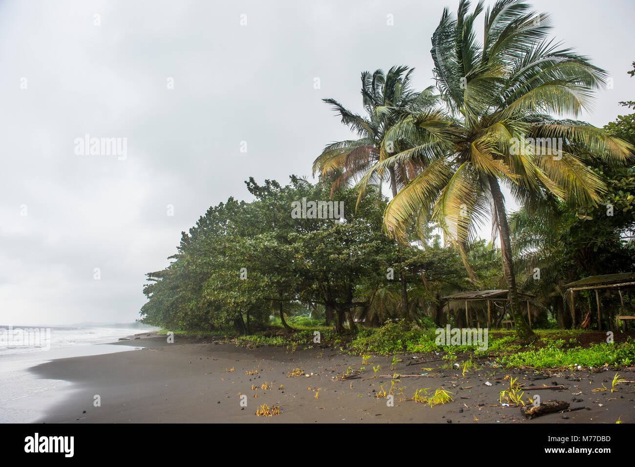 Schwarzen vulkanischen Sand auf 6 Mile Beach in der Nähe von Limbe, Kamerun, Afrika Stockfoto