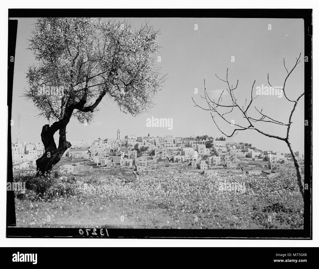 Ein historisches Foto von Bethlehem aus dem Süden, das die Landschaft der Stadt und bedeutende religiöse Wahrzeichen zeigt. Stockfoto