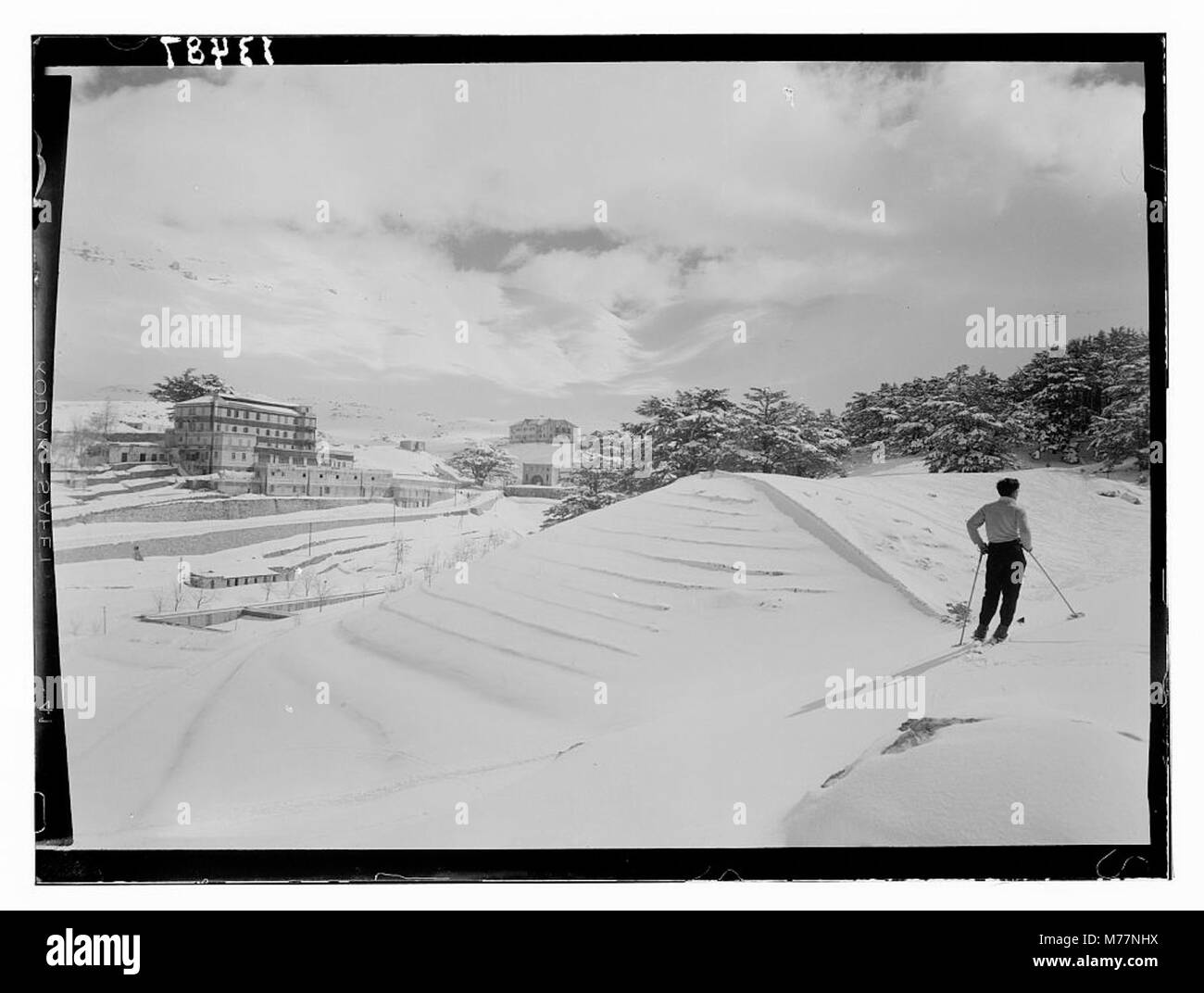 Blick auf die Cedars, einen Zedernhain mit dem Grand Hotel des Cedres im Hintergrund, der die natürliche Schönheit der Region und die historische Bedeutung des Hotels für den Tourismus des frühen 20. Jahrhunderts zeigt. Stockfoto