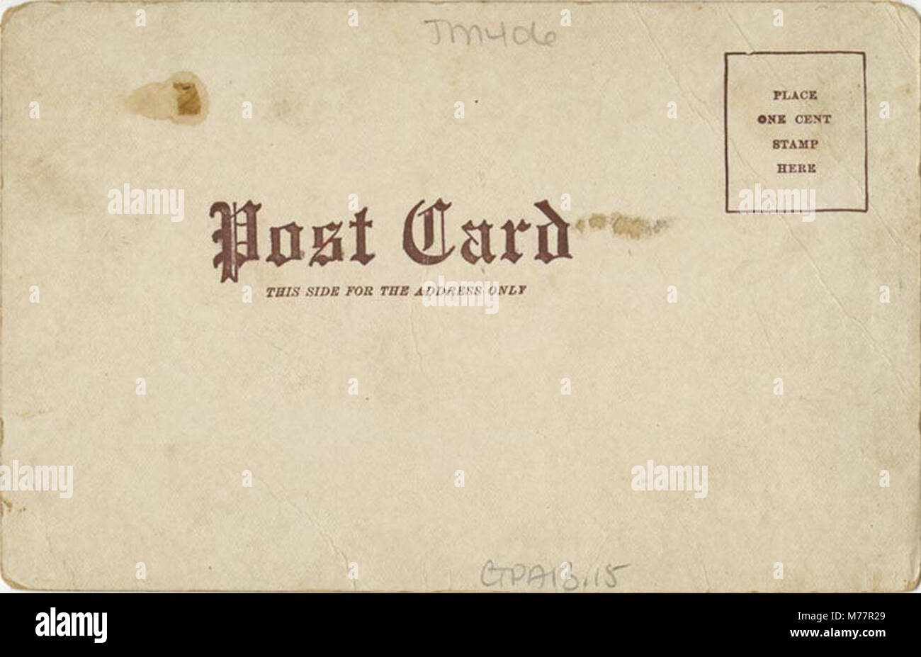 Hühner sind um ein Kunstbuch versammelt und fangen eine skurrile und unerwartete Interaktion zwischen Natur und Literatur ein. Stockfoto