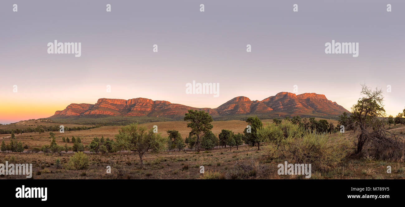 Goldenes Licht bei Sonnenuntergang auf dem Illuka Peak und Rawnsley Bluff in der alten Flinders Range in Südaustralien. Stockfoto