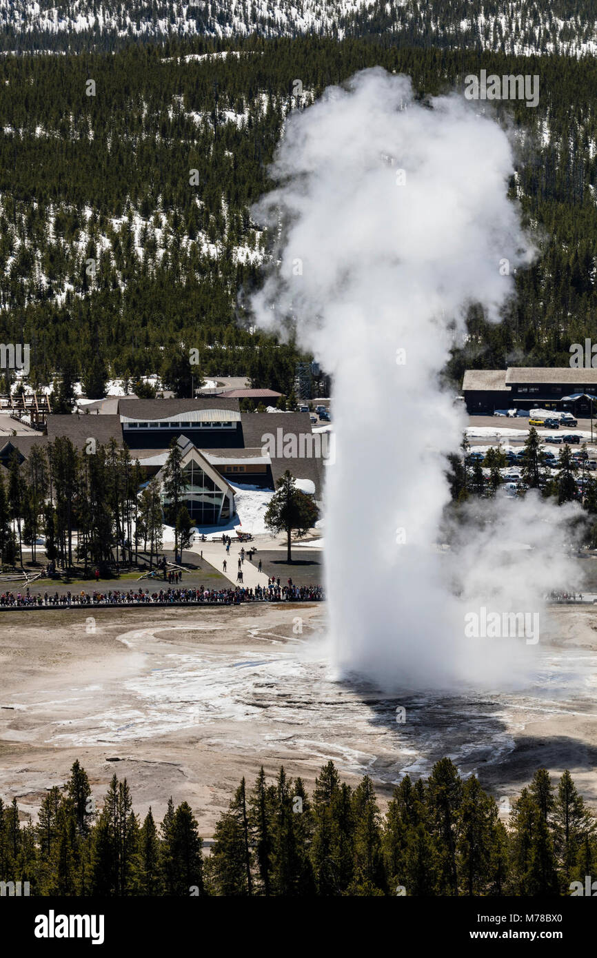 Old Faithful Ausbruch aus der Beobachtung. Stockfoto