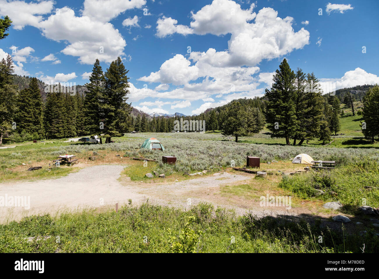 Slough Creek Campground (2). Stockfoto