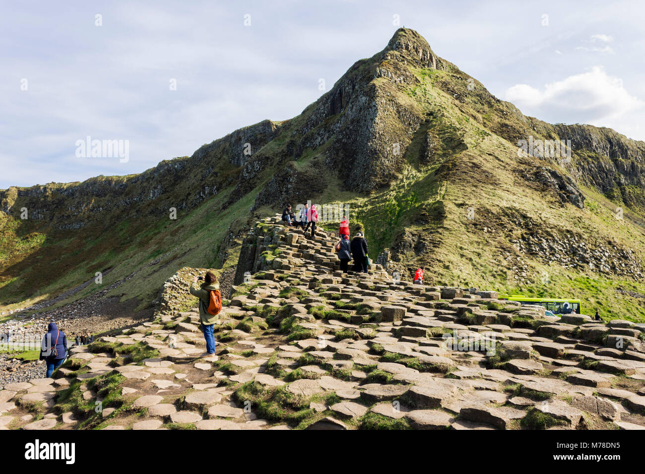 Der Giant's Causeway, Basaltsäulen aus einem alten vulkanischen Eruption in County Antrim an der Nordküste von Nordirland, in der Nähe der Stadt B Stockfoto