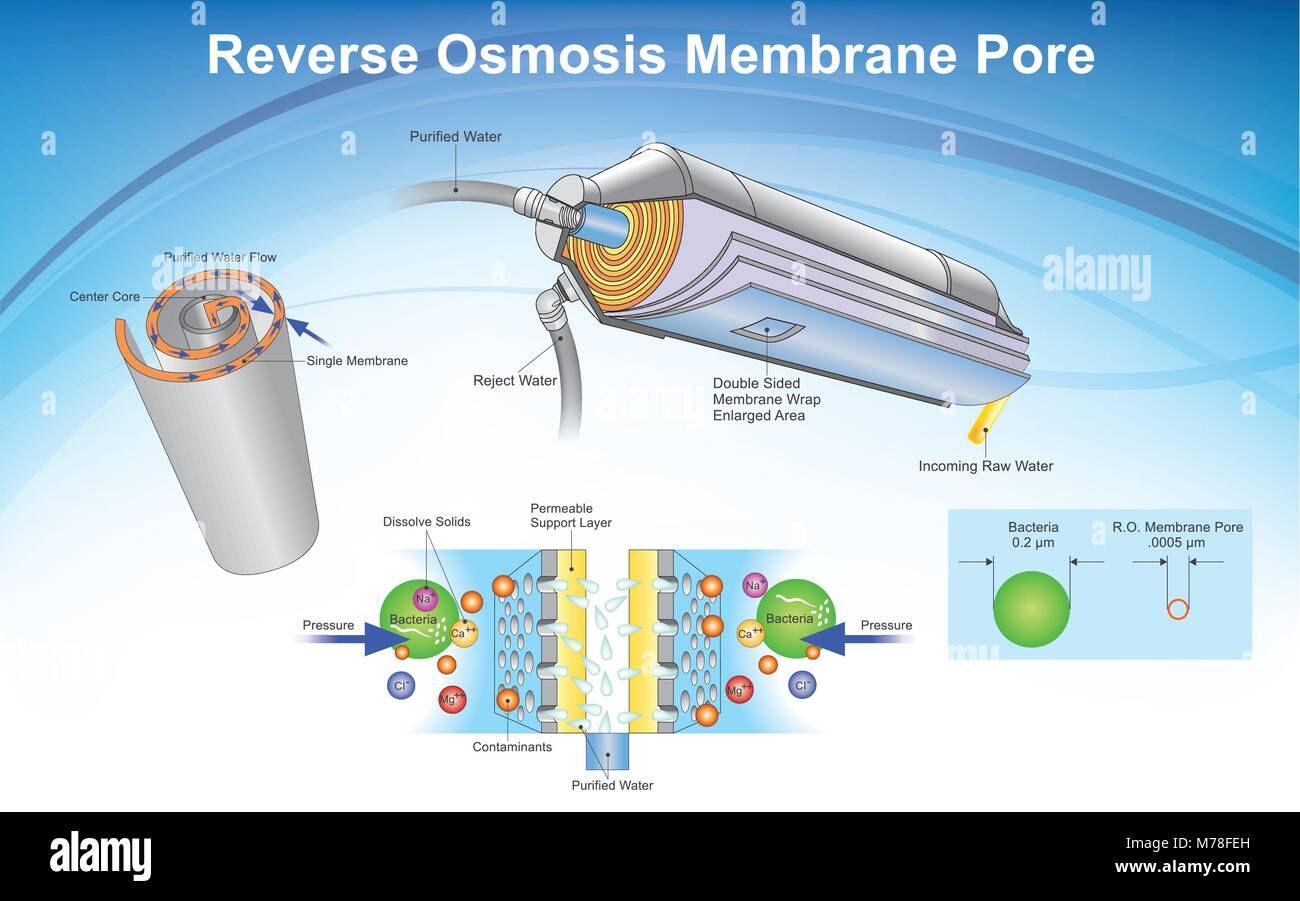 Umkehrosmose (RO) ist eine Wasser-Reinigung-Technologie, die eine semipermeable Membran verwendet, Ionen, Moleküle und größere Partikel aus Drinki entfernen Stock Vektor