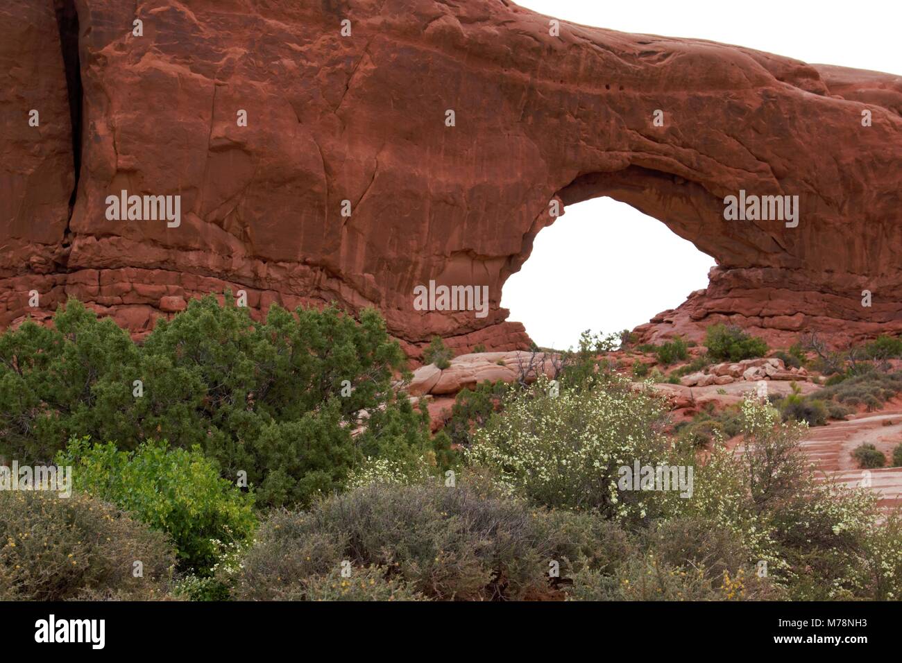 Arches-Nationalpark Stockfoto