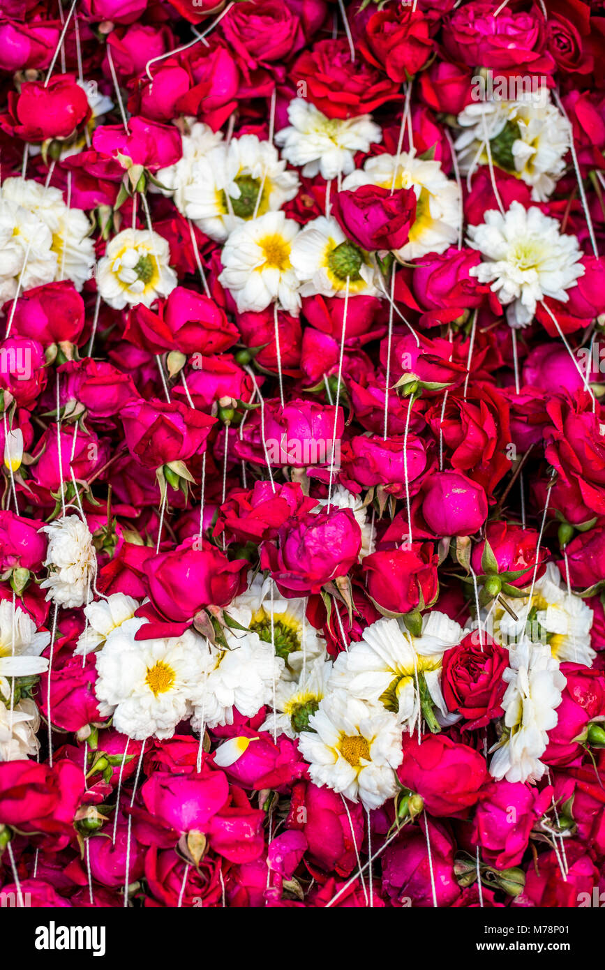 Blumen für den Antrag auf einen hinduistischen Tempel, Neu Delhi, Indien, Asien Stockfoto