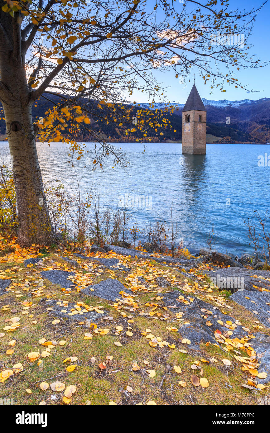 Herbst Farben iconic Kirchturm von Graun im Vinschgau, Reschenpass, Südtirol, Italien, Europa Stockfoto