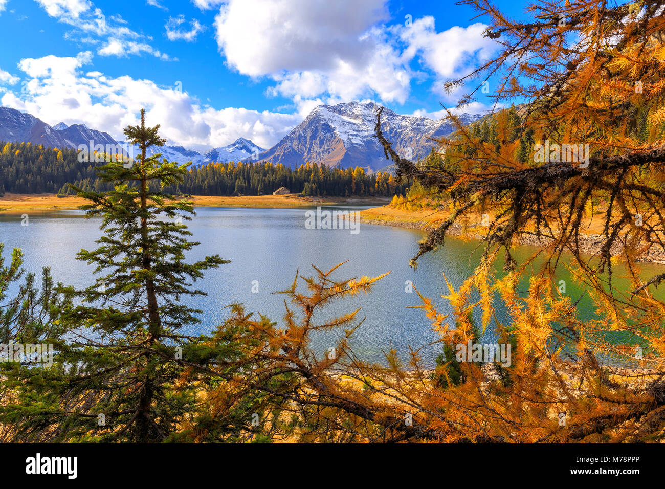 Palu See im Herbst, Valmalenco, Valtellina, Lombardei, Italien, Europa Stockfoto