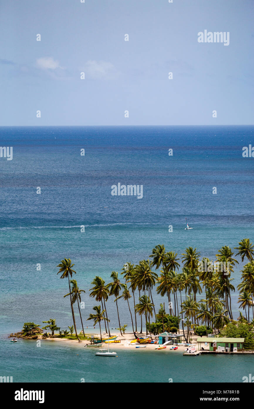 Die großen Palmen auf dem kleinen Strand in Marigot Bay, St. Lucia, Windward Islands, West Indies Karibik, Mittelamerika Stockfoto