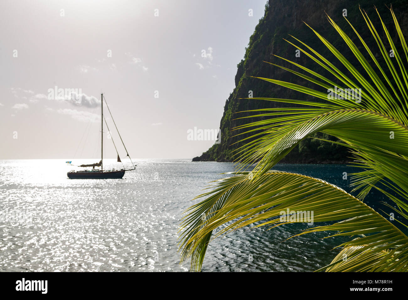 Yacht günstig in der Nähe der Unterseite des Petit Piton, in der Nähe von Sugar Beach mit Palmblättern im Vordergrund, St. Lucia, Windward Inseln, Mittelamerika Stockfoto